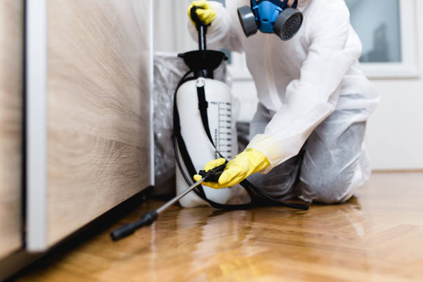 Best Affordable Pest Control Services  in Plant City, FL