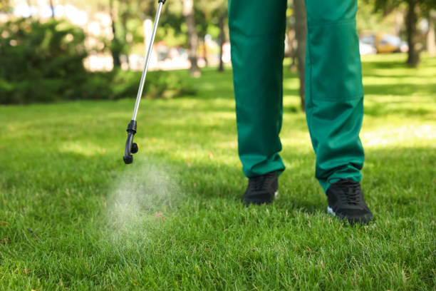 Best Bed Bug Extermination  in Plant City, FL