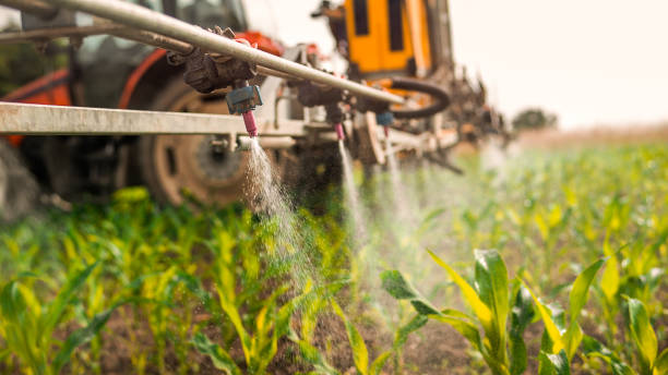 Best Insect Control  in Plant City, FL